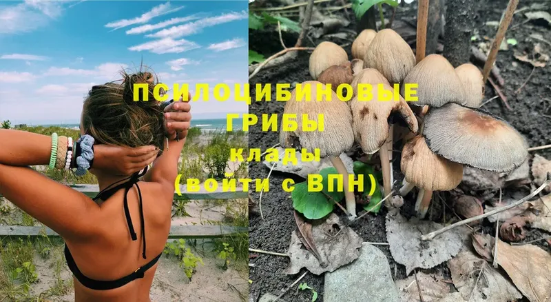 blacksprut как зайти  где купить наркотик  Кувандык  Псилоцибиновые грибы MAGIC MUSHROOMS 